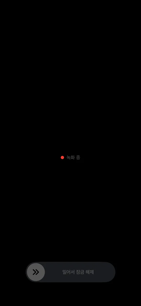 검은 화면: 화면은 어둡게, 작은 「녹화 중」 표시는 그대로